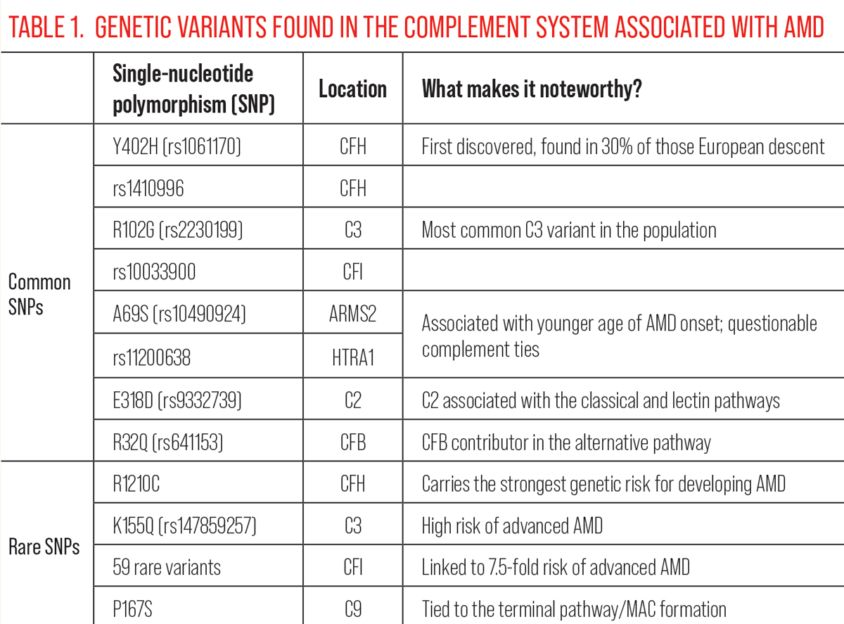 Table 1. Genetic Variants Found in the Complement System Associated with AMD